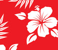 Hot-tropica