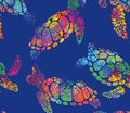 Shelly Navy